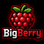 BigBerrySmp icon