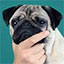 MOGL icon